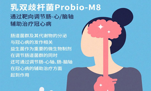 乳双歧杆菌Probio-M8通过靶向调节肠-心/脑轴辅助治疗冠心病