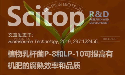 植物乳杆菌P-8和LP-10可提高有机肥的腐熟效率和品质