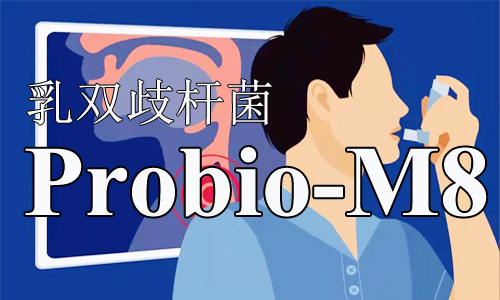 乳双歧杆菌Probio-M8