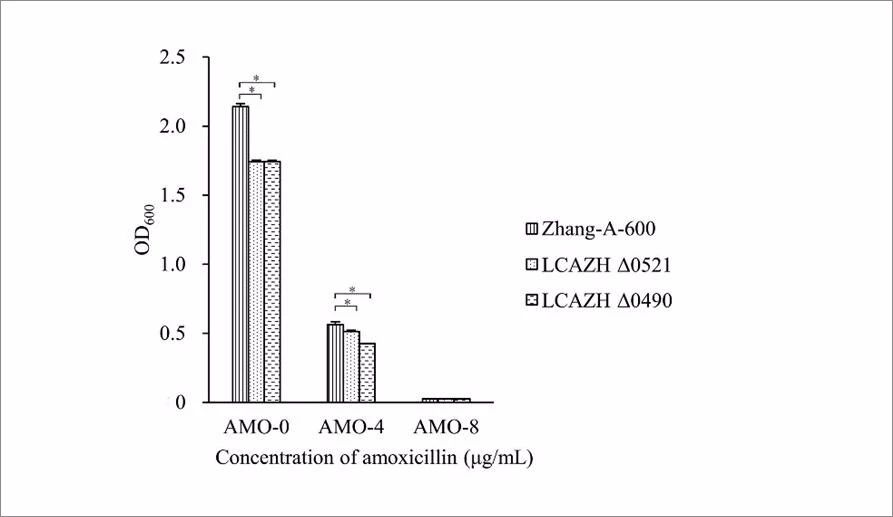 应用蛋白质组学分析Lactobacillus casei Zhang在阿莫西林环境中的菌株适应性