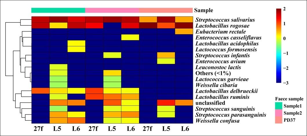 特异性引物助力肠道中乳酸菌生物多样性研究