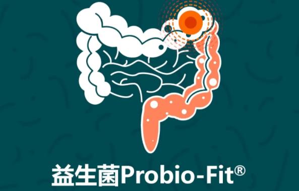 益生菌Probio-Fit通过调节肠道菌群辅助治疗炎症性肠病(IBD)