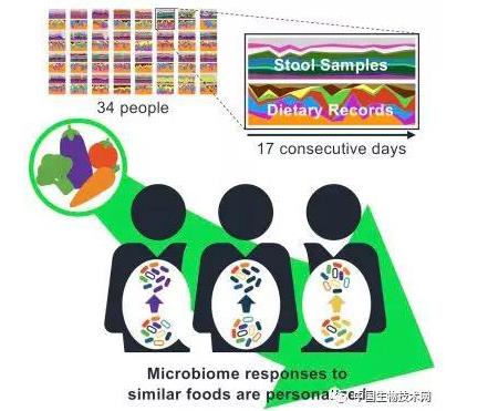 肠道微生物组：同一种营养，不同的影响...
