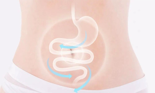 调整肠道菌群失衡，促使肠道活动恢复正常