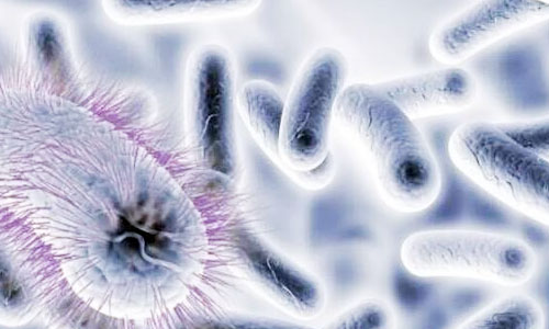 mSystems: 与肠道真菌菌群结构相关的宿主因子