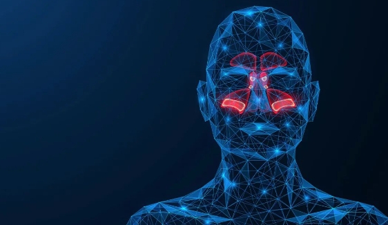 肠道菌群在过敏性鼻炎中的重要作用